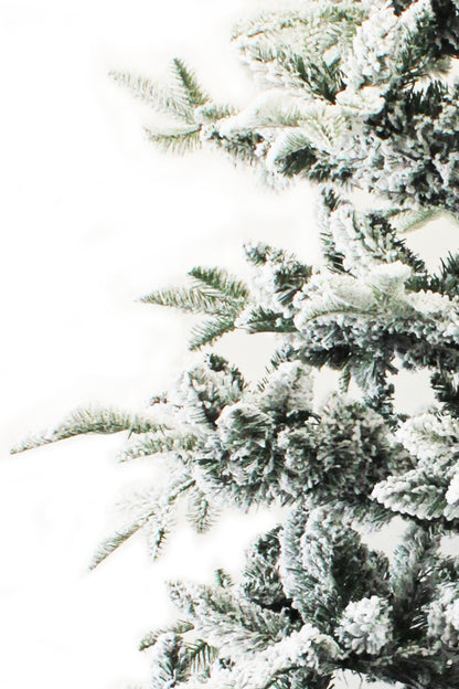 Calgary Spruce Snow Flocked Christmas Tree