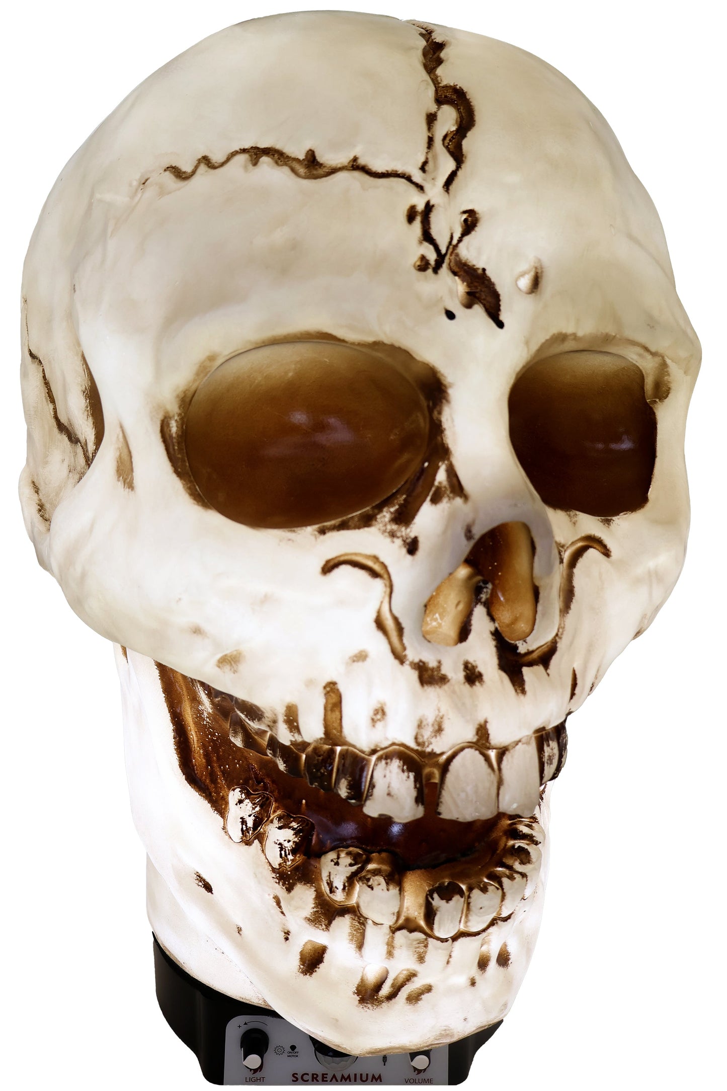Giant Skull Animatronic Lamp Prop 20-Inch-Tall Heavy Duty Polyresin Halloween Decoration